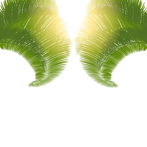 Beyaz bir arka plan üzerinde gün doğumunda palmiye ağaçlarının yaprakları. Illüstrasyon — Stok Vektör