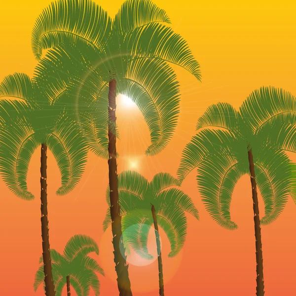 Palma em duas fileiras, uma vista inferior. Contra o fundo do pôr-do-sol laranja, nascer do sol. Ilustração —  Vetores de Stock