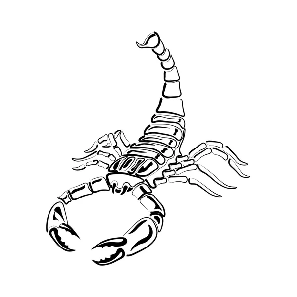 Scorpion noir et blanc agressif pour tatouages, signe du zodiaque. Fabriqué avec une prédominance de blanc. illustration — Image vectorielle