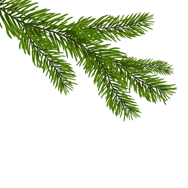 Green, realistic branch of fir. Fir branches. Isolated on white Christmas vector illustration — Stock Vector