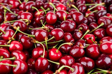 Dalları olan renkli kiraz arkaplanı.