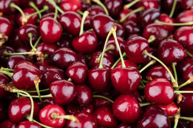 Dalları olan renkli kiraz arkaplanı.