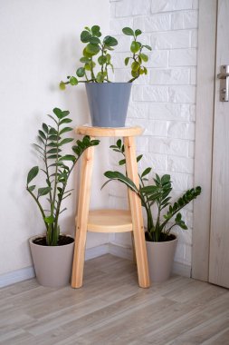 Salonda çiçekler var..