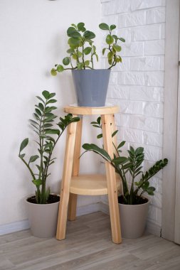 Salonda çiçekler var..