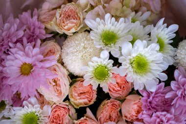 Farklı güzel renklerin arkaplanı.