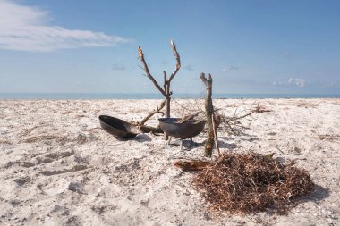 Denize yakın beyaz kumların üzerinde bir ızgara duruyor.