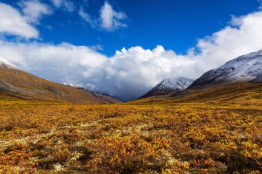 Tombstone Bölge Parkı 'ndaki Grizzly Gölü, Yukon, Kanada