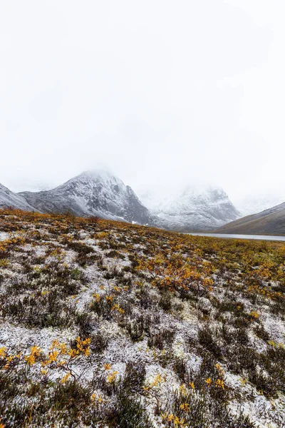 美しい景色と雪の山の景色 — ストック写真