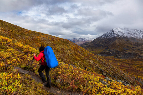 Girl Hiking up Scenic Trail surrounded by Mountains in Canadian Nature