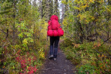 Sonbahar sezonunda Sırt çantasıyla Yürüyüş Patikası