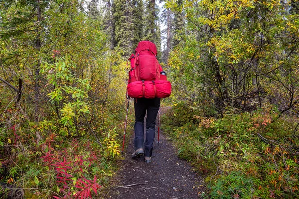 Woman Backpacking along Hiking Trail during Fall Season — Stock Photo, Image