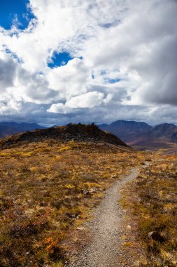 Güneşli bir sonbahar gününde dağın tepesindeki Manzaralı Yürüyüş Patikası