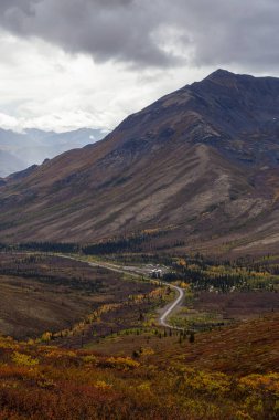 Ağaçlar ve Dağlarla çevrili Tepeden Manzaralı Yol
