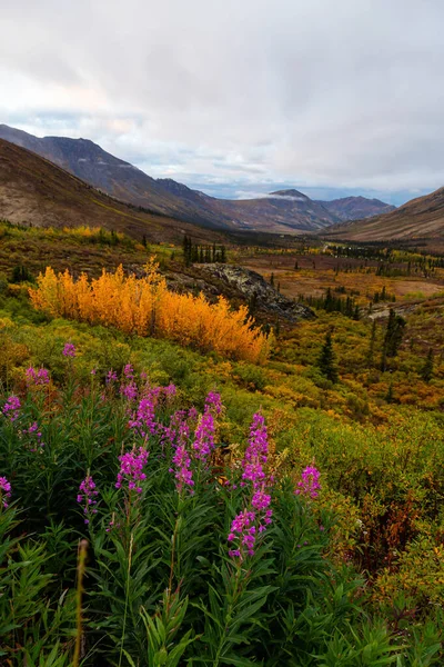 Krásný výhled na barevný podzimní les a hory — Stock fotografie