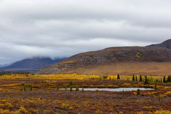 Krásný výhled na Scenic Lake na podzim v kanadské přírodě — Stock fotografie