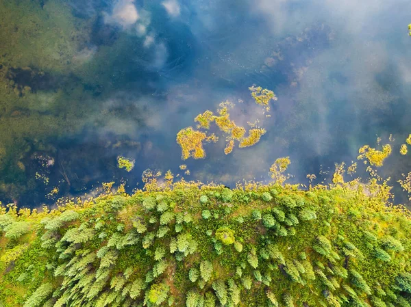 Vista aérea del colorido estanque en los pantanos — Foto de Stock