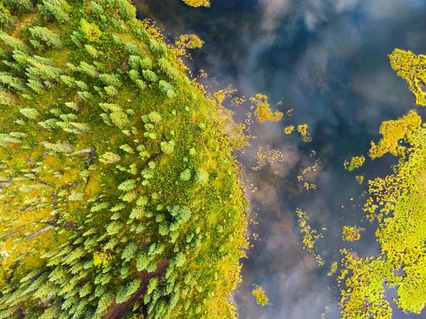 Letecký pohled na pestrobarevný rybník v bažinách — Stock fotografie