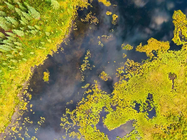 Vista aérea del colorido estanque en los pantanos — Foto de Stock