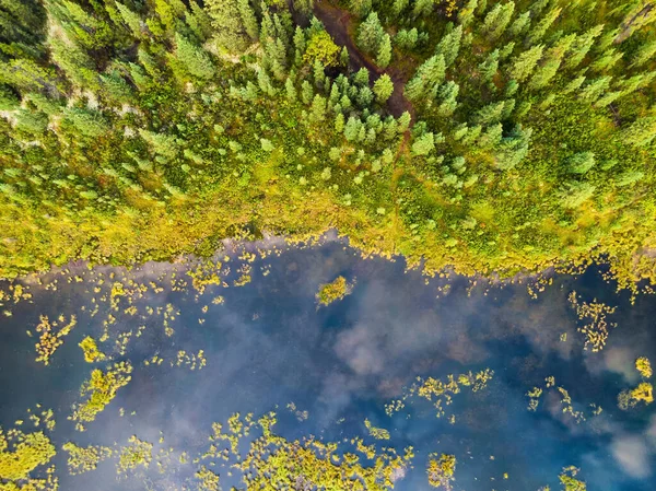 Вид з повітря на різнокольоровий ставок на болотах — стокове фото