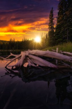 Kanada doğasında göl kenarındaki güzel manzara.