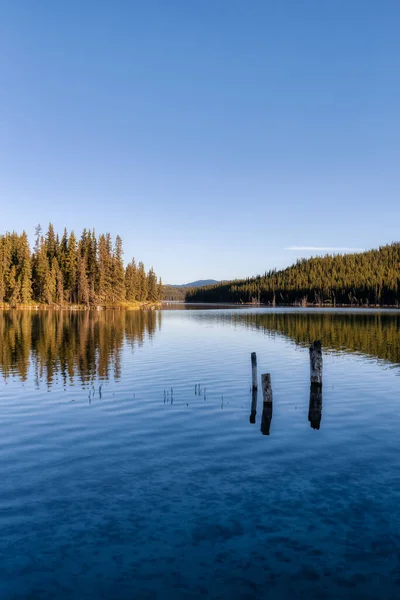 Gyönyörű táj a tó mellett a kanadai természet — Stock Fotó