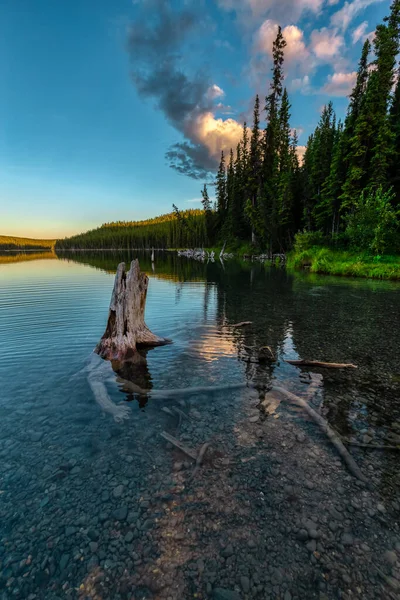 Сцена у озера в канадской природе — стоковое фото