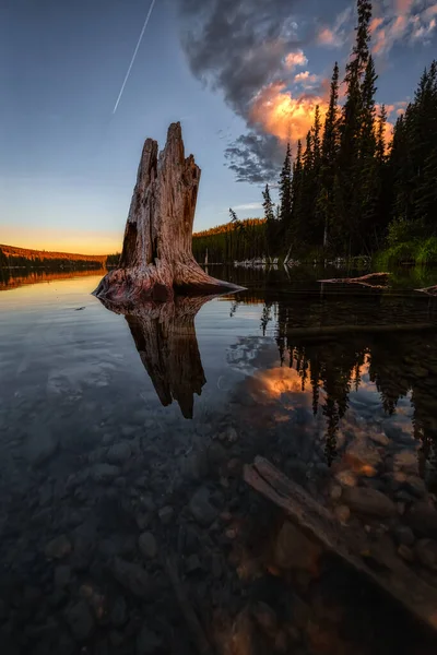 Сцена у озера в канадской природе. — стоковое фото