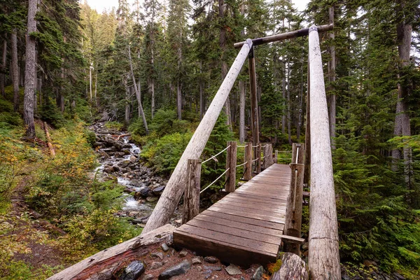 Γραφική Γέφυρα στο Δάσος — Φωτογραφία Αρχείου
