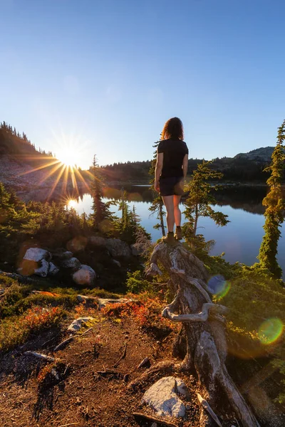 Дівчата подорожують канадською природою — стокове фото