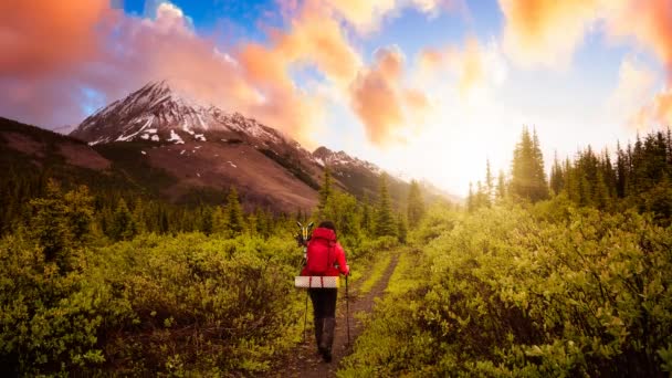 Cinemagraph Continuous Loop Animation. Γυναίκα Backpacker Πεζοπορία στον Καναδά Rockies — Αρχείο Βίντεο