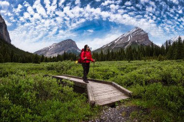 Kanada Kayalıklarında Kadın Sırt Çantası Yürüyüşü