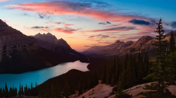 Rockies canadienses y Peyto Lake — Foto de Stock