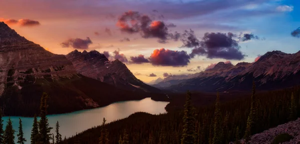 Kanadische Rockies und Peyto Lake — Stockfoto