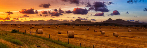 Panoramic View of Bales of Hay in a farm field.