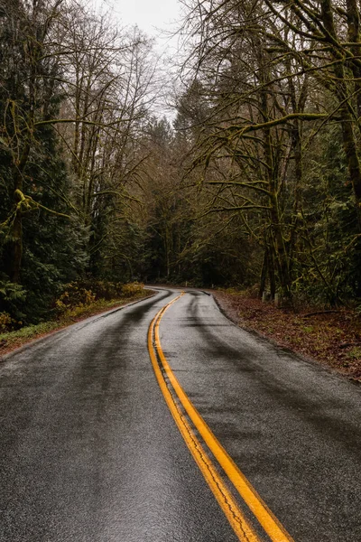 Aussichtsreiche Straße im Grünen Wald — Stockfoto