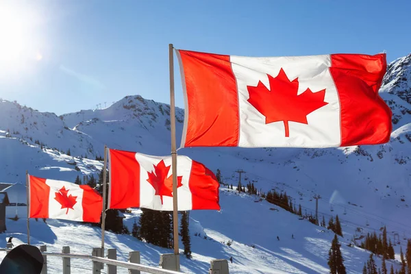 Bandeira canadense com uma paisagem de montanha de inverno — Fotografia de Stock