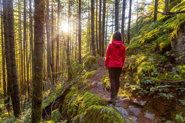 Chica aventurera Senderismo en la naturaleza canadiense — Foto de Stock