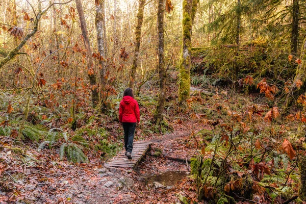 Chica aventurera Senderismo en la naturaleza canadiense — Foto de Stock