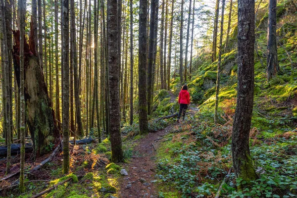 Chica aventurera Senderismo en la naturaleza canadiense — Foto de Stock