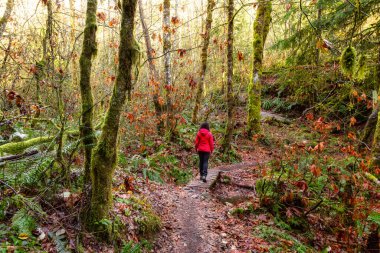 Kanada Doğasında Maceracı Kız Yürüyüşü