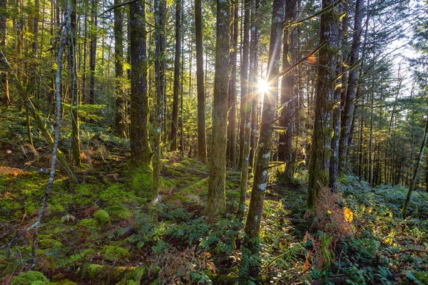 Squamish, Vancouvertől északra, Brit Columbia, Kanada — Stock Fotó