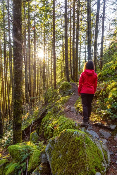 Chica aventurera Senderismo en la naturaleza canadiense — Foto de Stock