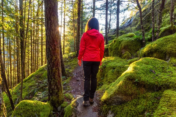 Chica aventurera Senderismo en la naturaleza canadiense — Foto de Stock