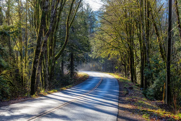Bela vista de uma estrada panorâmica na floresta verde — Fotografia de Stock