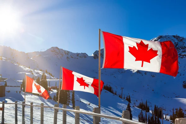 Bandiera canadese con un paesaggio montano invernale — Foto Stock
