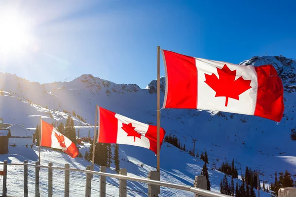 Canadian Flag with a winter mountain landscape