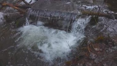 British Columbia, Kanada 'da Yağmur Ormanı