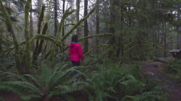 カナダの自然の中で冒険的な女の子ハイキング — ストック動画