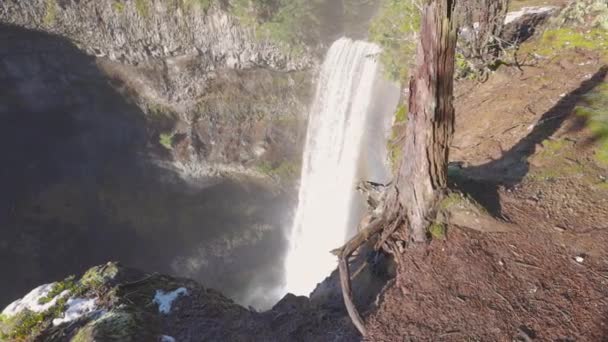 Hermosa cascada en la naturaleza canadiense en la selva tropical — Vídeos de Stock