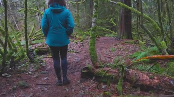 ผู้หญิงผจญภัย เดินป่าในแคนาดาธรรมชาติ — วีดีโอสต็อก